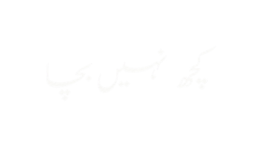 کچھ بھی باقی نہیں